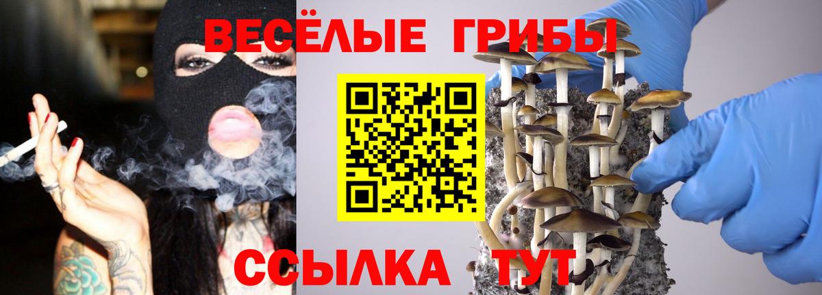 Псилоцибиновые грибы ЛСД  Вход с VPN  Реутов 
